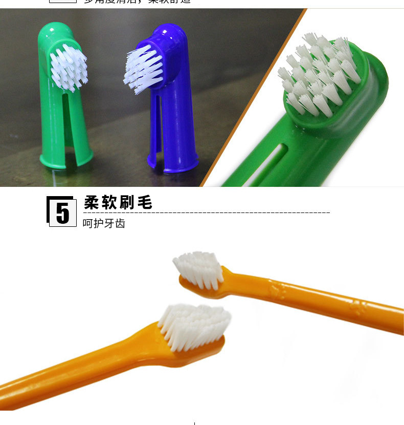 狗狗口腔健康四件套 全方位守護(hù)愛(ài)犬牙齒，從科學(xué)護(hù)理開(kāi)始